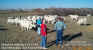 12-22-99_Herd_03.jpg (73745 bytes)