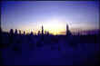 Bettles-SunsetEM.jpg (40557 bytes)