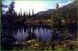 ChandalarPond.jpg (103742 bytes)