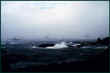 Davison_Point.jpg (63306 bytes)