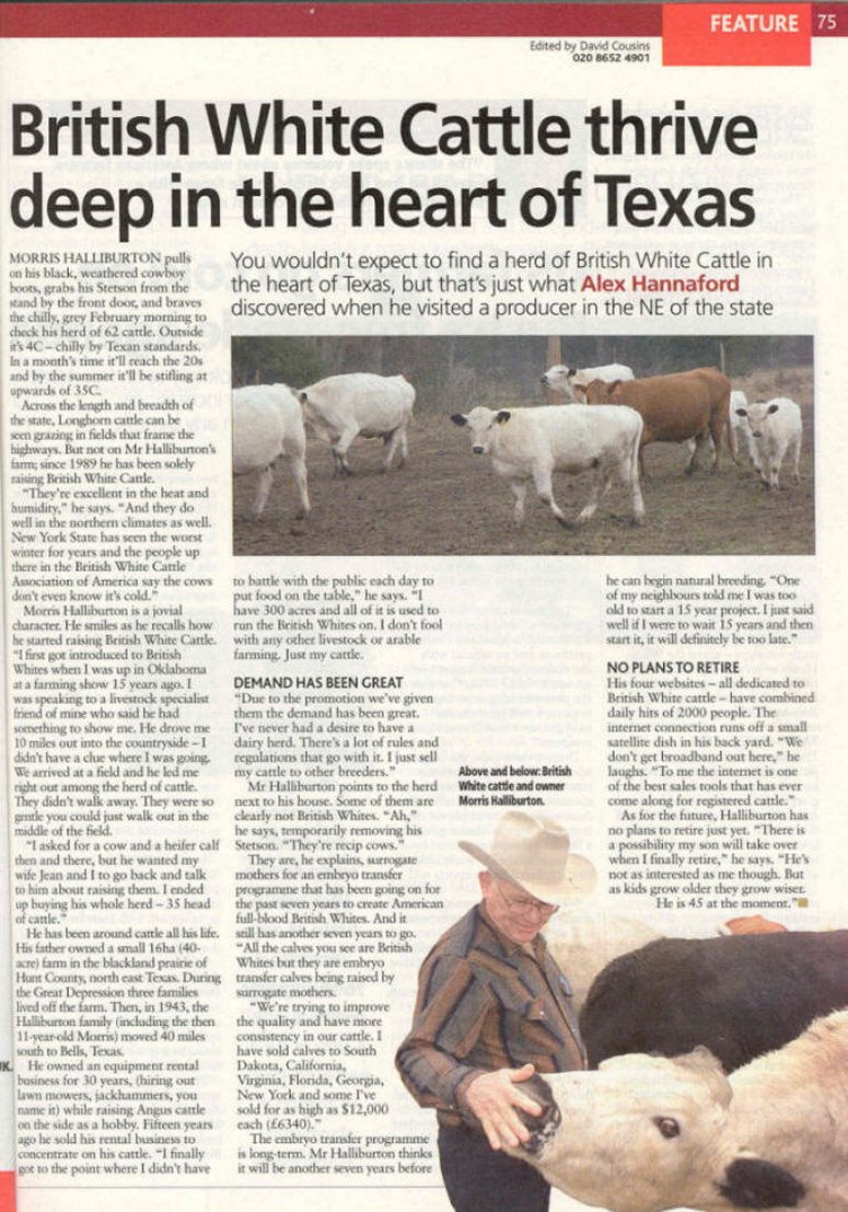 Farmers Weekly British White Cattle Article Farmers Weekly British White Cattle Article