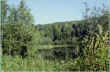 Haggerman_Pond.jpg (131753 bytes)