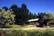 Home_Summer.jpg (174321 bytes)