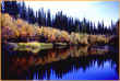 Slough_in_Fall.jpg (253149 bytes)