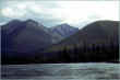 Veined_Mt.jpg (112501 bytes)