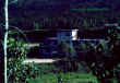 WoodDredge.jpg (84786 bytes)