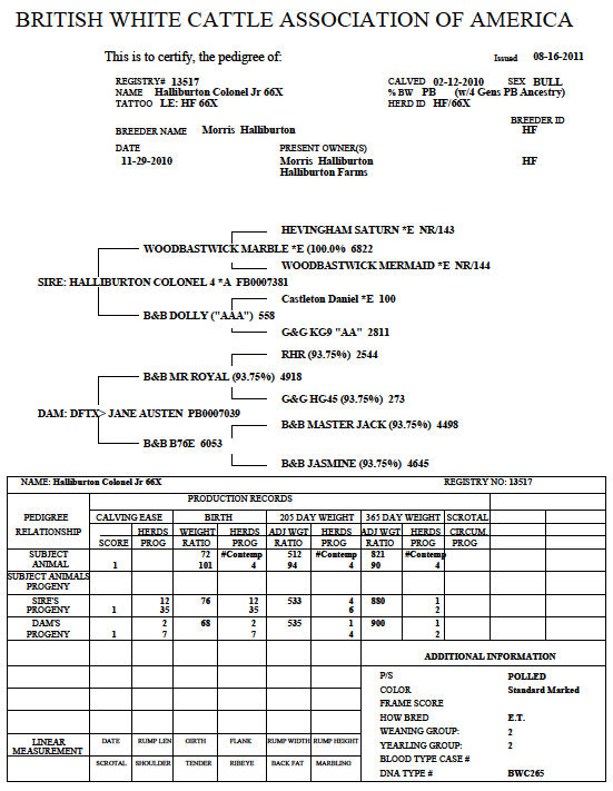 British White Bull Halliburton Colonel Jr Registration Certificate British White Bull Halliburton Colonel Jr Registration Certificate