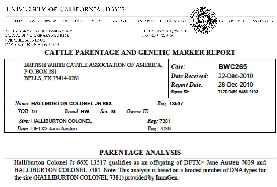 British White Bull Halliburton Colonel Jr. Parentage Confirmation