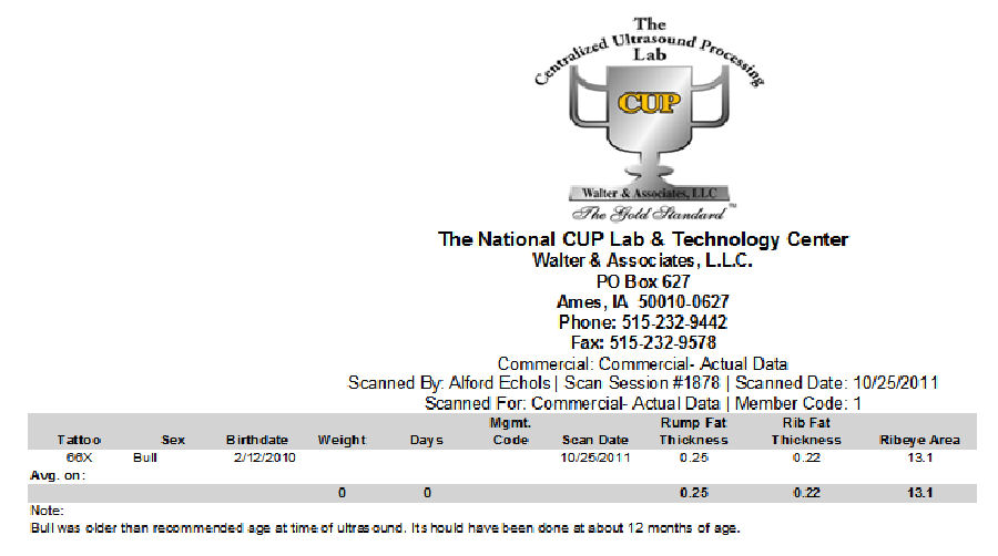 British White Bull Halliburton Colonel Jr Ultrasound Test Results